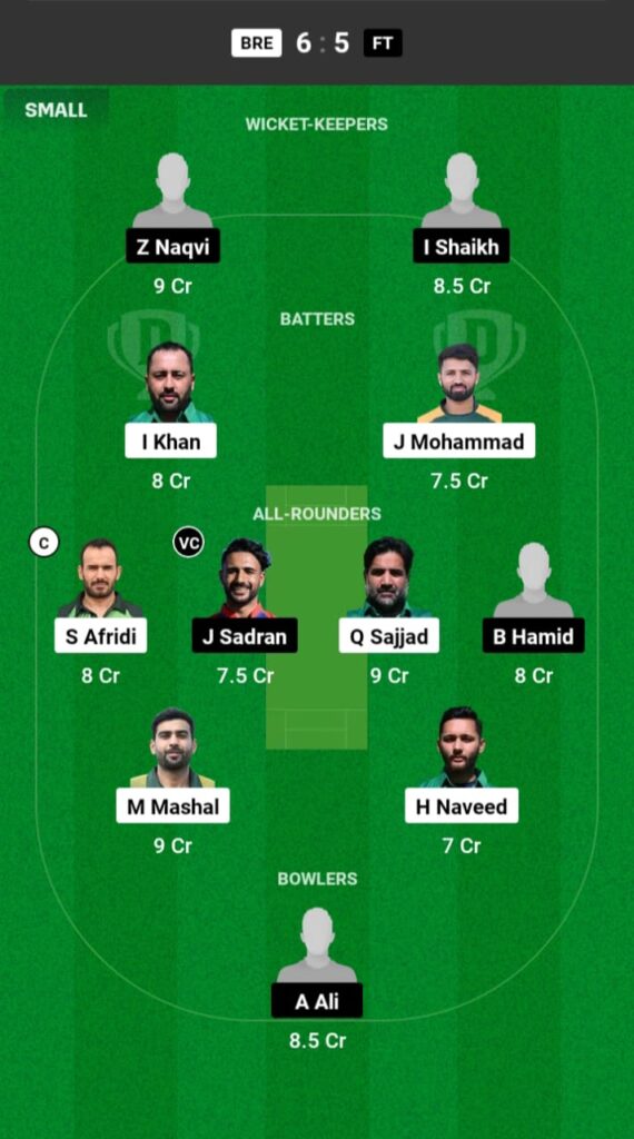 BER vs FT Dream11