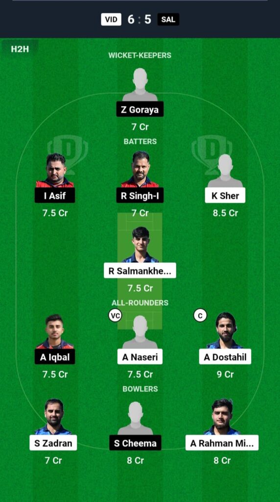 VID vs SAL Dream11