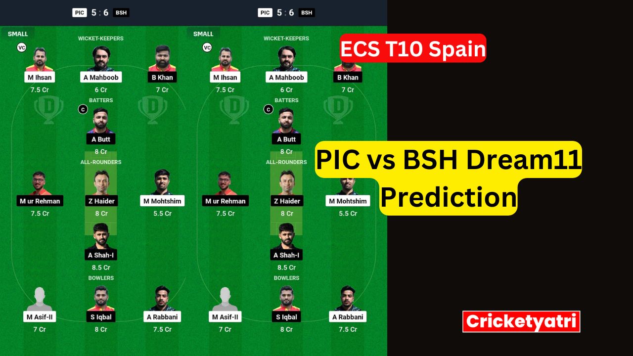 PIC vs BSH Dream11