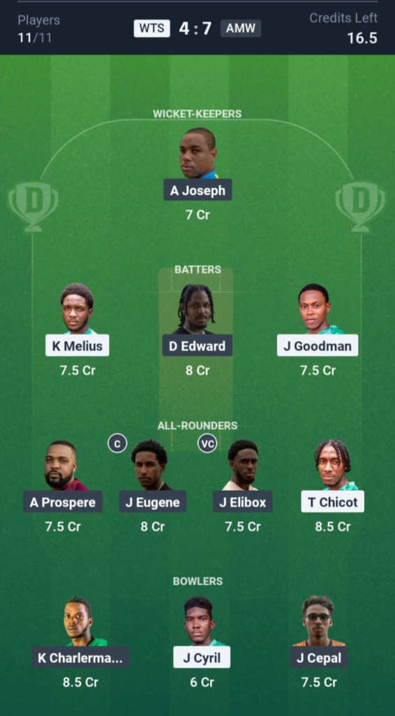 WTS vs AMW Dream11