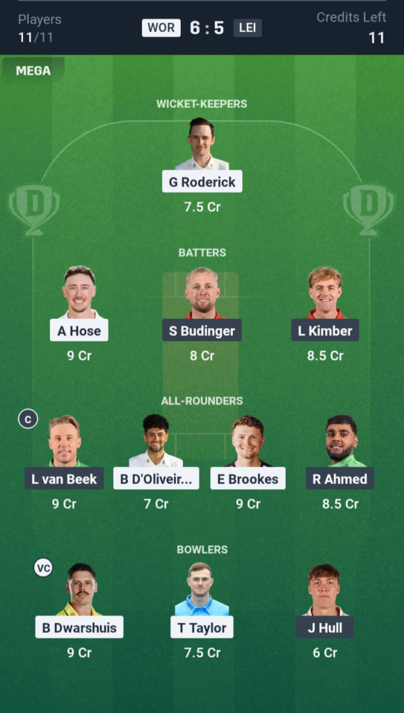WOR vs LEI Dream11
